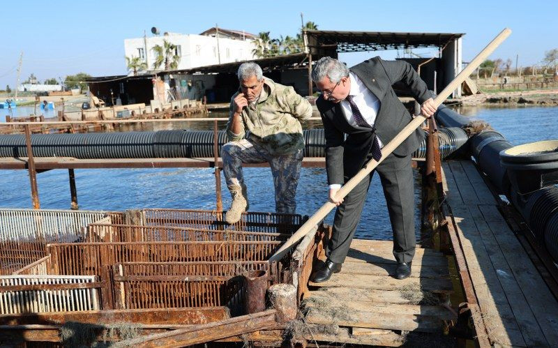 İç Piyasada Tüketilmeyen Mavi Yengece Yurt Dışı Talebi - Sayfa 5