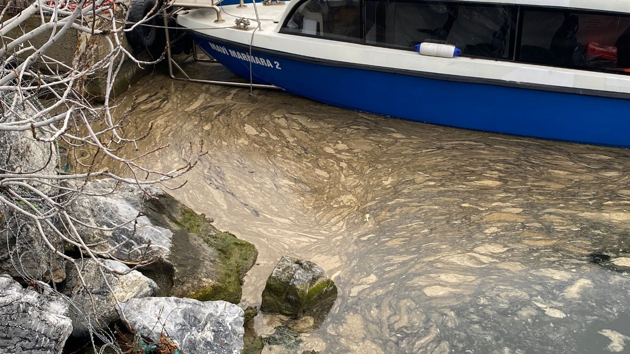 Marmara'da Müsilaj Yeniden Görüldü