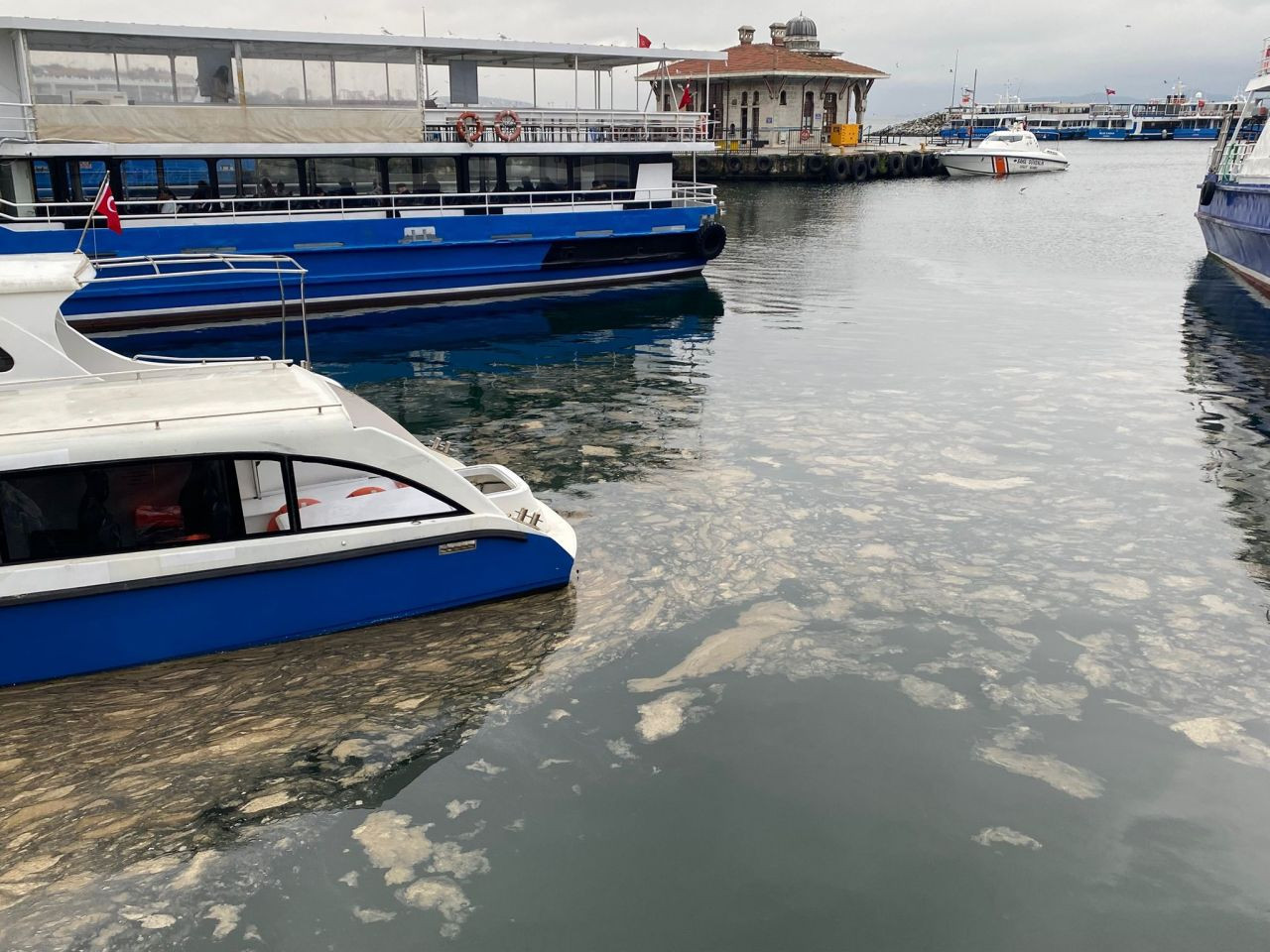 Marmara'da Müsilaj Yeniden Görüldü - Sayfa 3