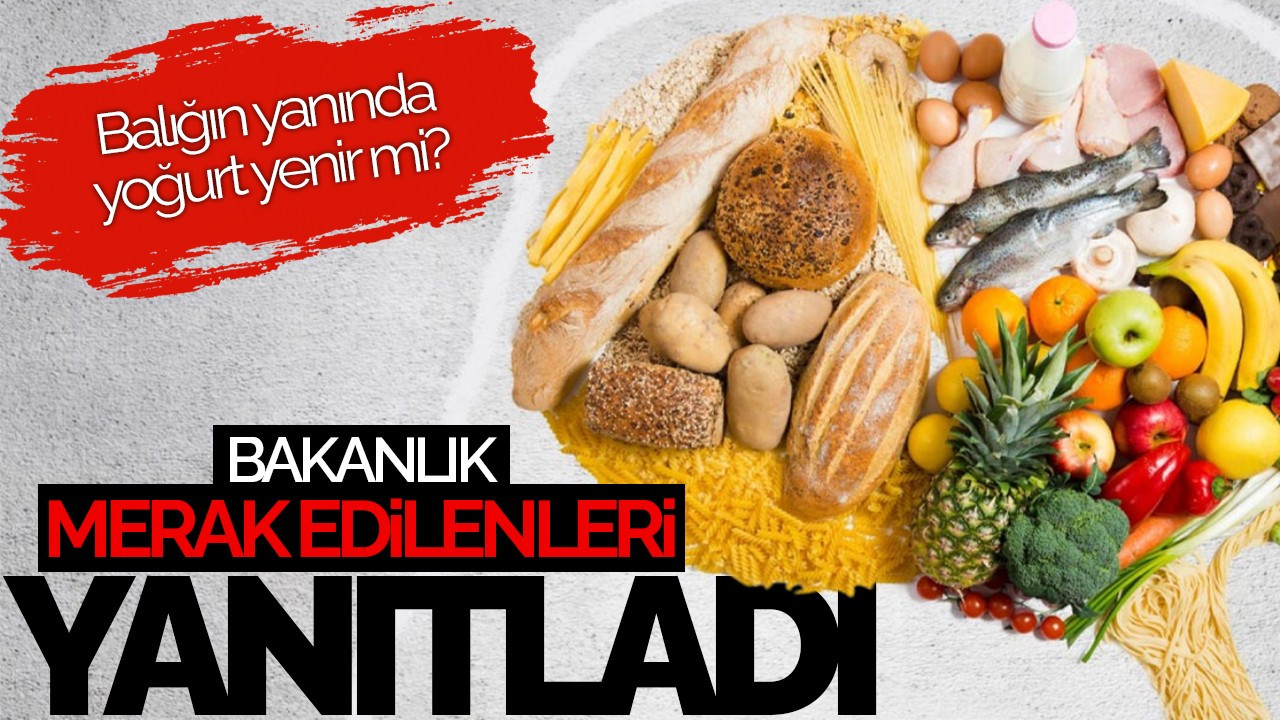 Bakanlık Yanıtladı: Balığın Yanında Yoğurt Tüketmek Sağlıklı Mı?