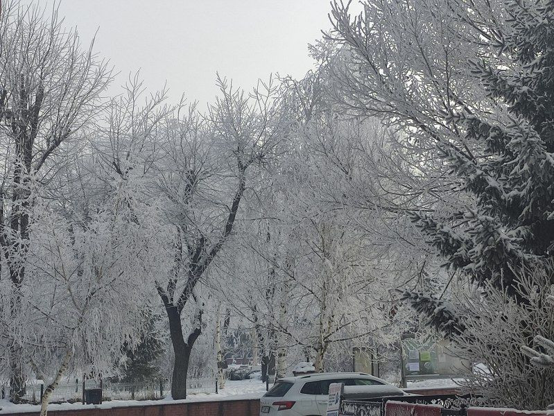 Ardahan'da Sibirya Soğukları: Göle Eksi 19 Derece! - Sayfa 1
