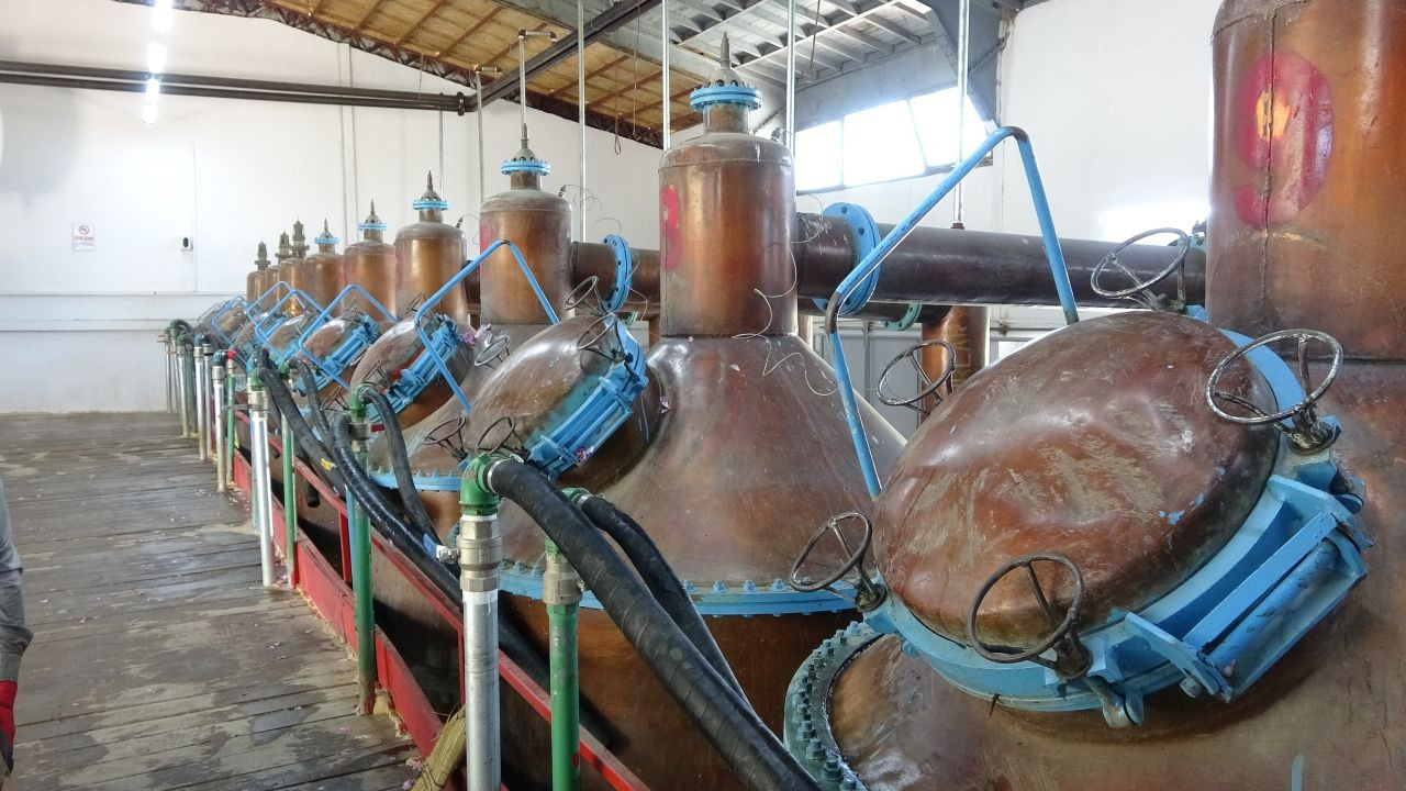 Isparta'nın Gül Yağı Kozmetik Sektöründe Parlıyor: 2024'te 50 Milyon Euro İhracat - Sayfa 5