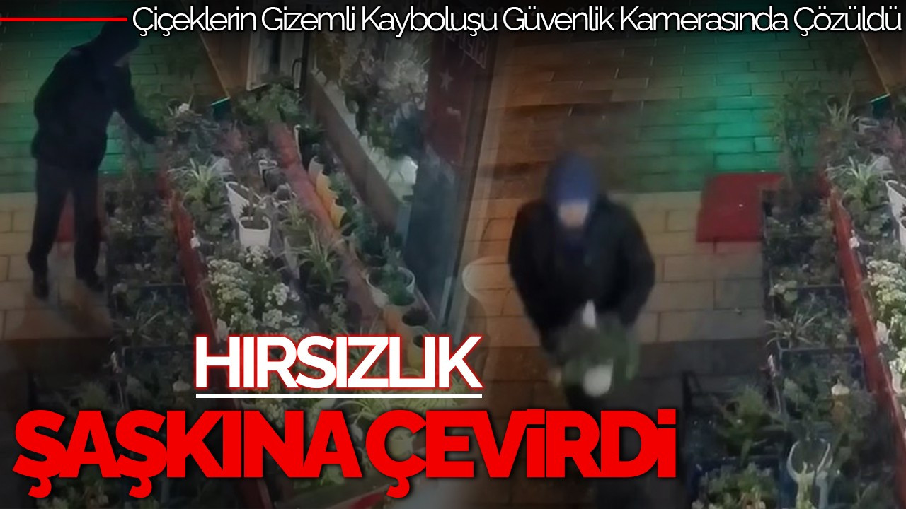 Çiçeklerin Gizemli Kaybı Güvenlik Kamerasında Çözüldü: Hırsızlık Şaşkına Çevirdi