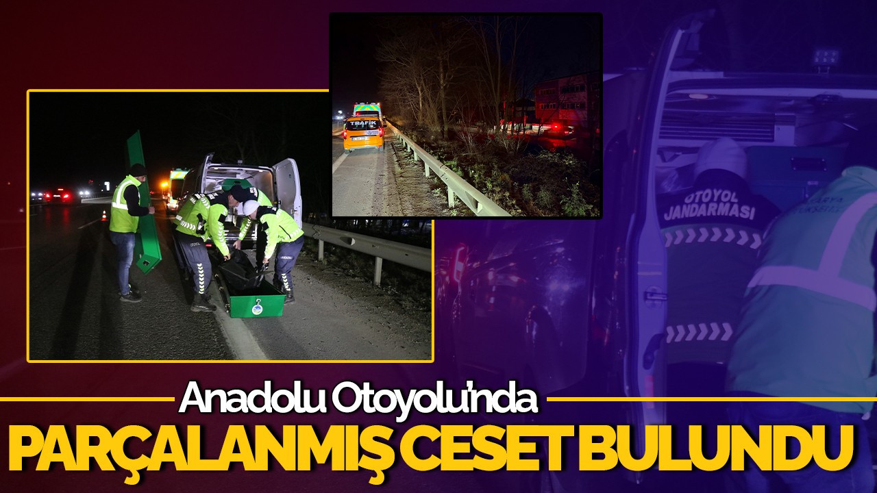 Anadolu Otoyolu’nda Feci Ölüm: Parçalanmış Ceset Bulundu