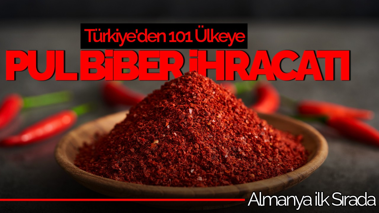 Türkiye'den 101 Ülkeye Pul Biber İhracatı: Almanya İlk Sırada