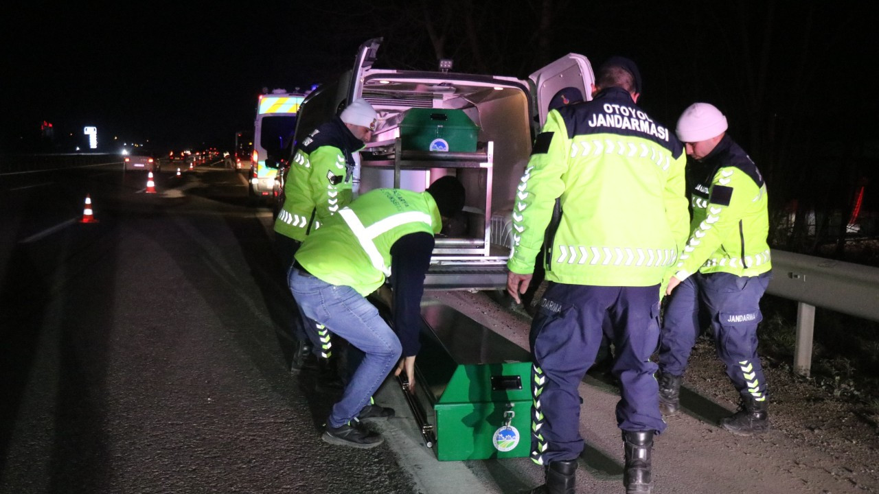 Otoyolda Parçalanmış Ceset Bulunmuştu: Yeni Detaylar Ortaya Çıktı