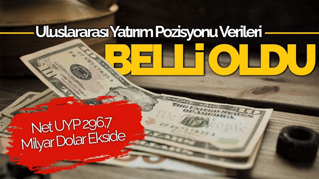 Türkiye'nin Yurt Dışı Yatırım Pozisyonu: Net UYP 296,7 Milyar Dolar Ekside