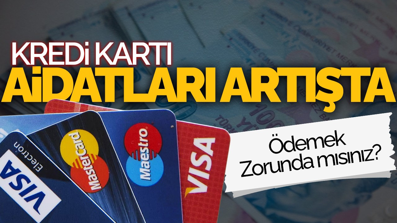 Kredi Kartı Aidatları Artışta: Ödemek Zorunda mısınız?