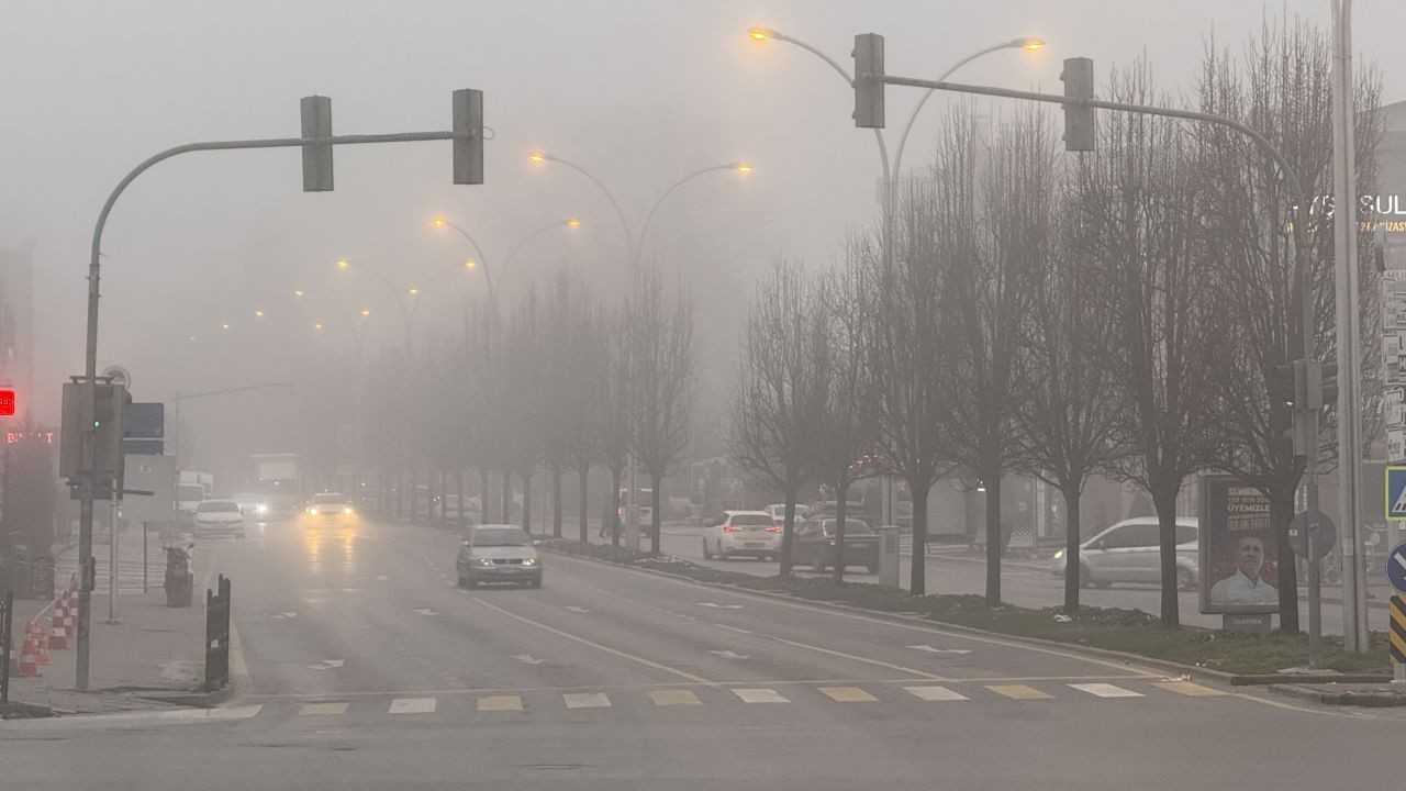 Sakarya'da Yoğun Sis Ulaşımı Zorlaştırdı - Sayfa 6