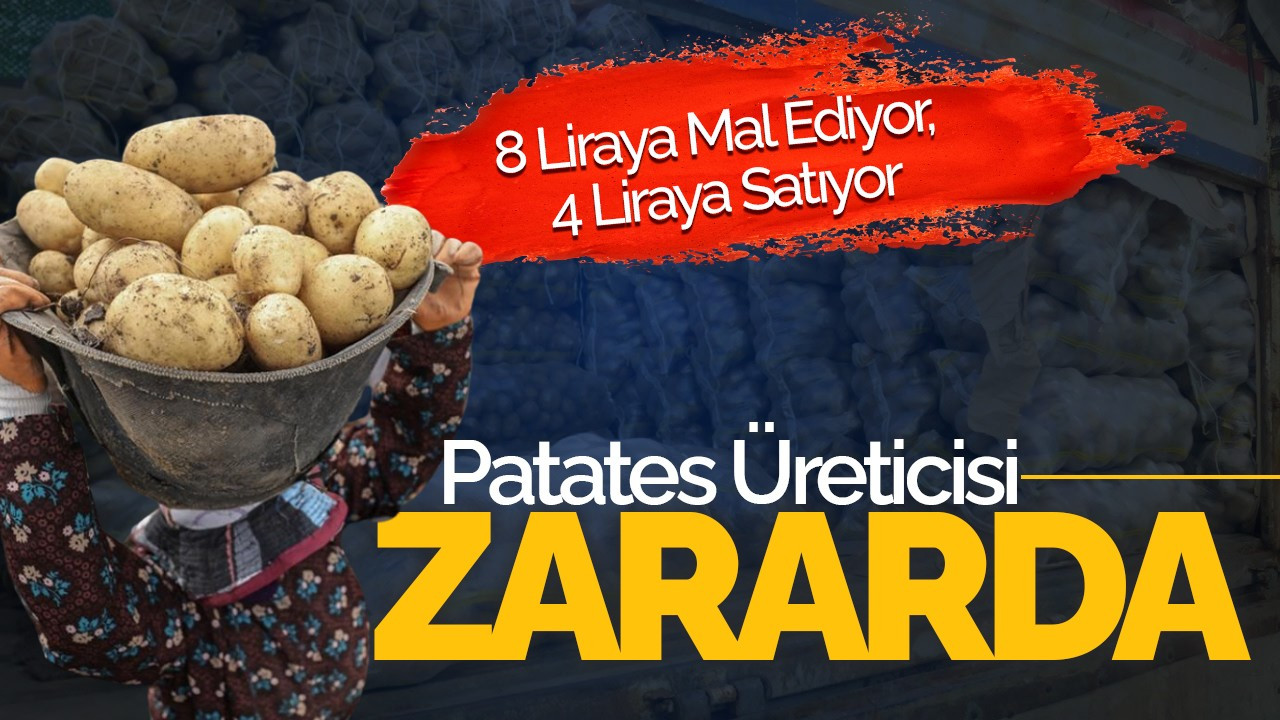 Patates Üreticisi Zararda: 8 Liraya Mal Ediyor, 4 Liraya Satıyor