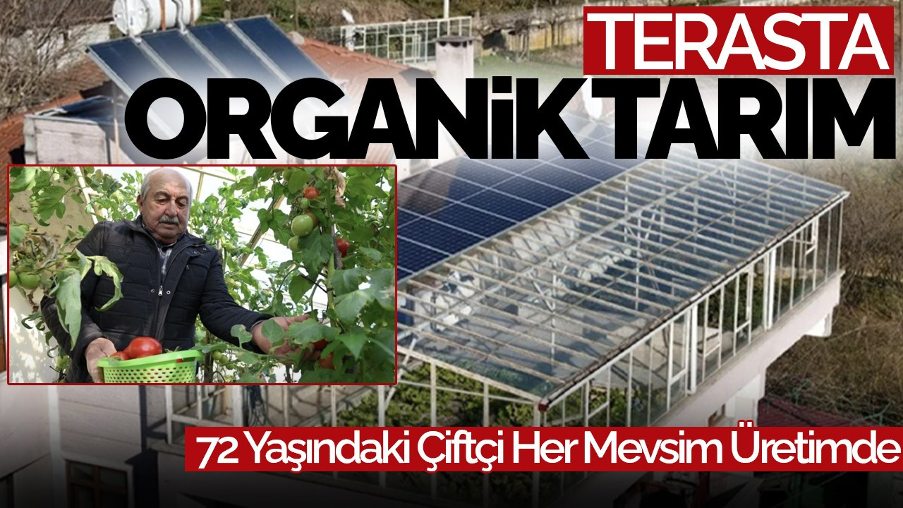 Terasta Organik Tarım: 72 Yaşındaki Çiftçi Her Mevsim Üretimde