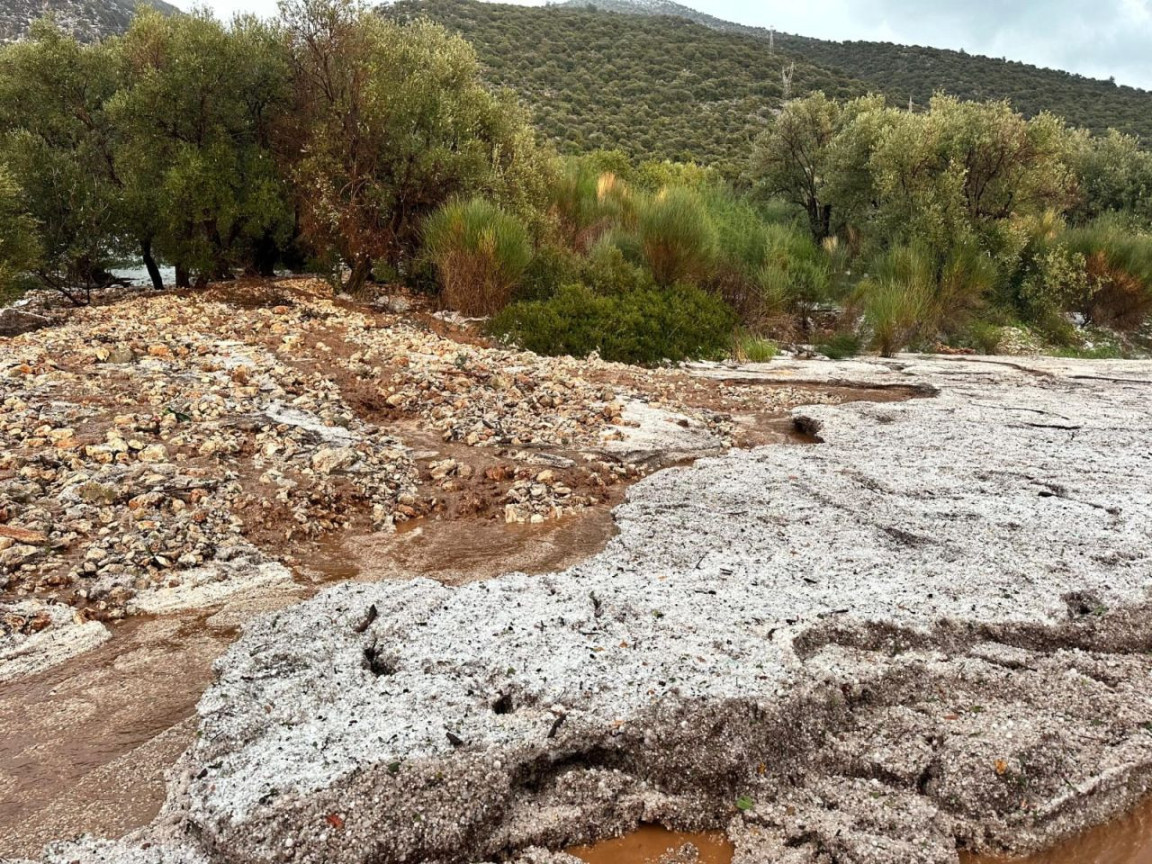 Antalya Demre’de Şiddetli Dolu ve Sel Felaketi: Seralar Zarar Gördü - Sayfa 15