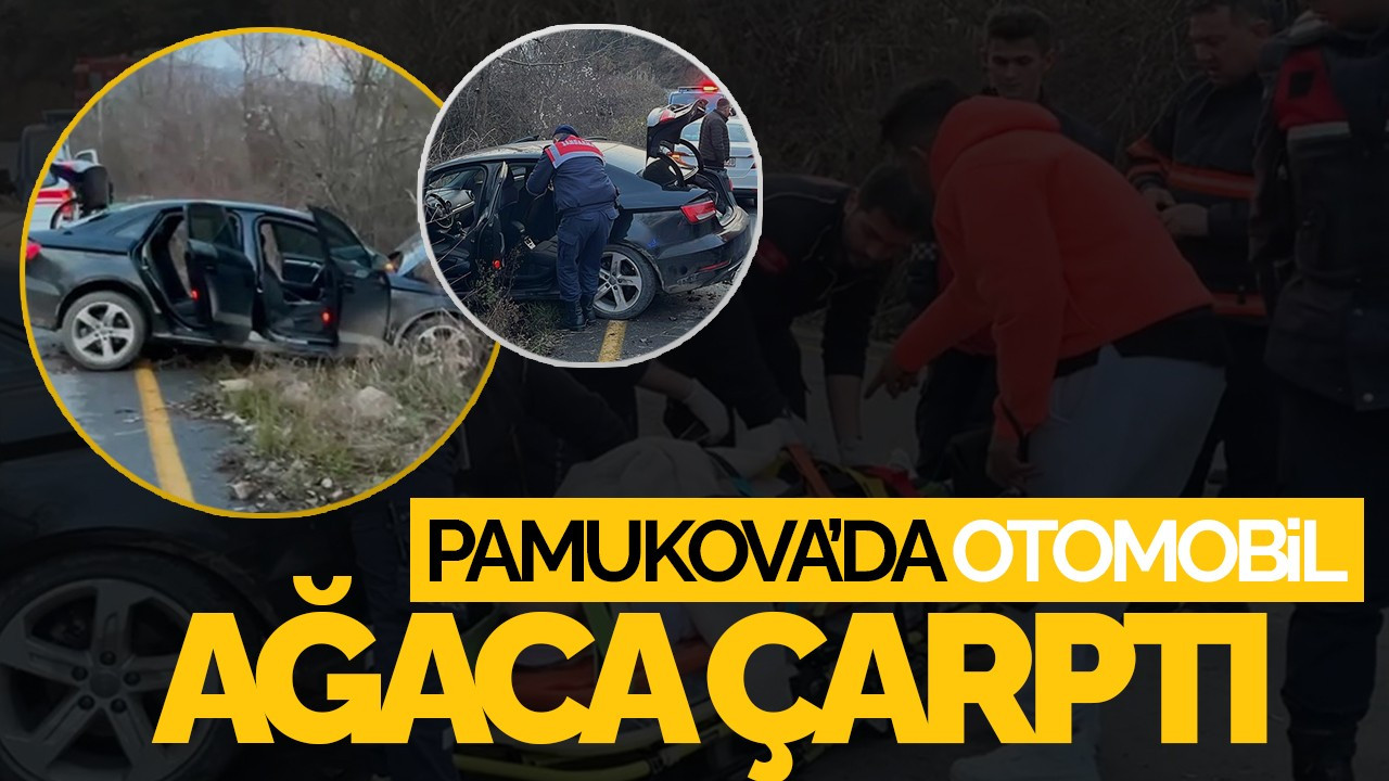 Pamukova’da Otomobil Ağaca Çarptı: 1 Yaralı