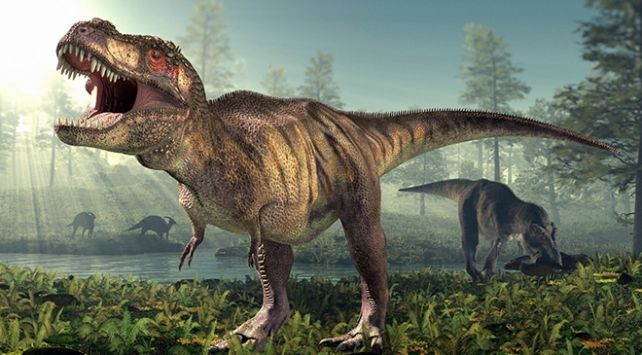 Dinozorlar nereden geldi? Yeni Araştırma Çarpıcı Sonuçlar Sunuyor! - Sayfa 3