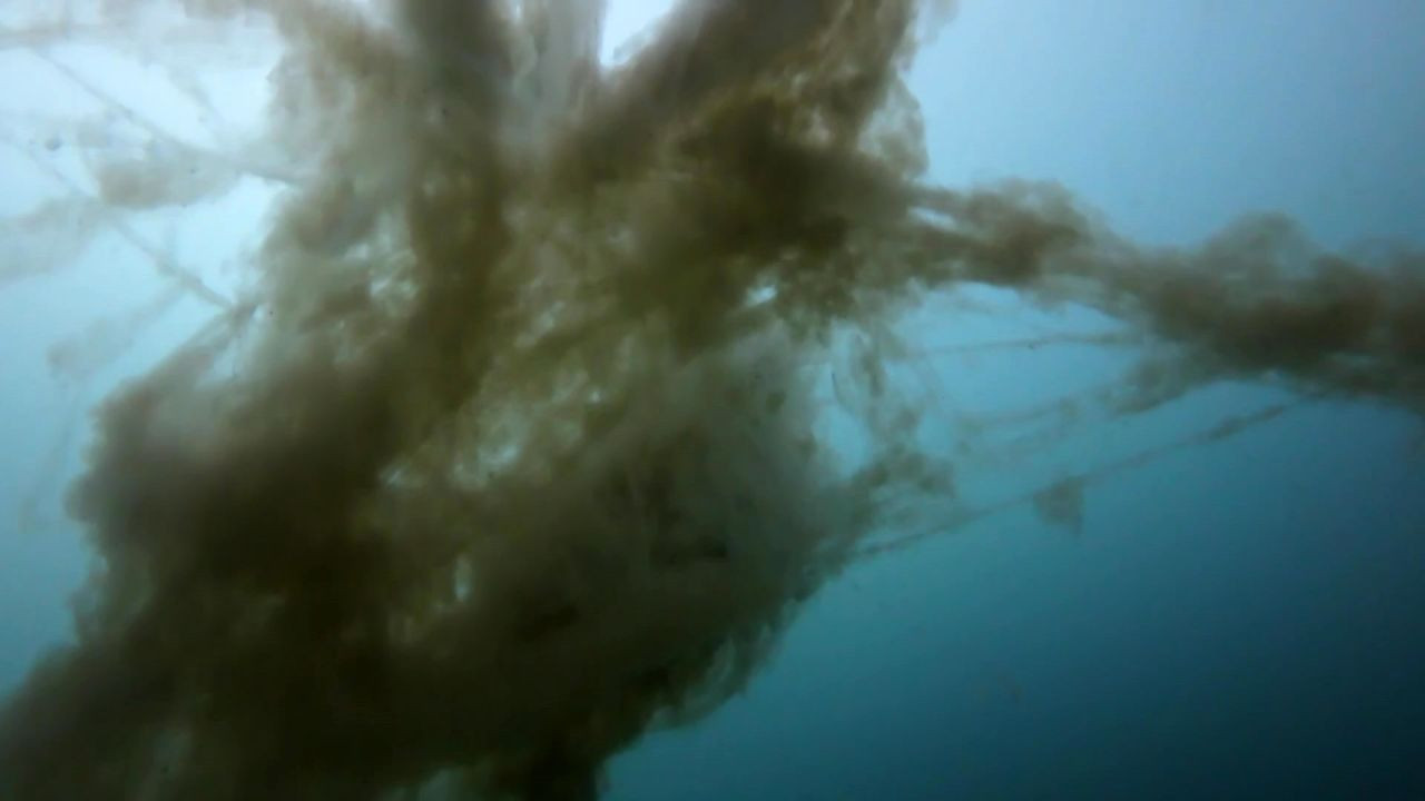 İzmit'te korkutan müsilaj görüntüsü! - Sayfa 4