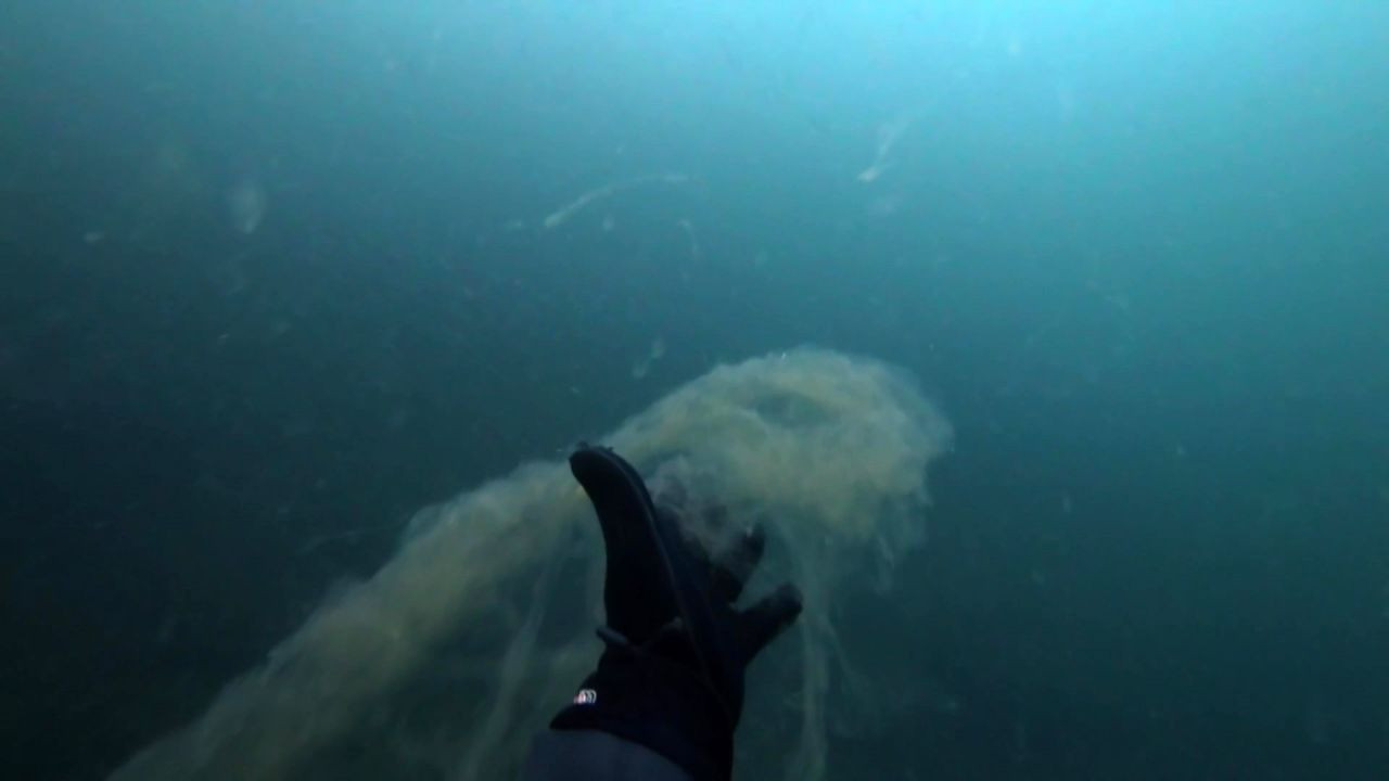 İzmit'te korkutan müsilaj görüntüsü! - Sayfa 3