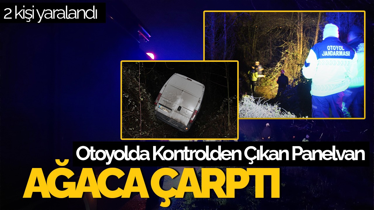 Otoyolda Kontrolden Çıkan Panelvan Ağaca Çarptı: 2 Yaralı