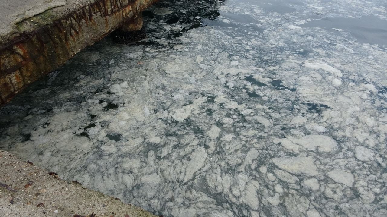 Müsilaj Çanakkale Boğazı'nı kaplamaya başladı