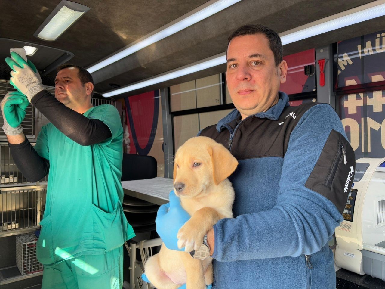 “Can Dost” şifa dağıtmaya devam ediyor: Paşa Limanı Adası'nda 182 sokak hayvanı hayata tutundu - Sayfa 5