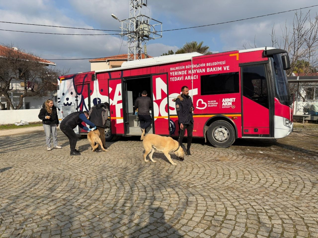 “Can Dost” şifa dağıtmaya devam ediyor: Paşa Limanı Adası'nda 182 sokak hayvanı hayata tutundu - Sayfa 3