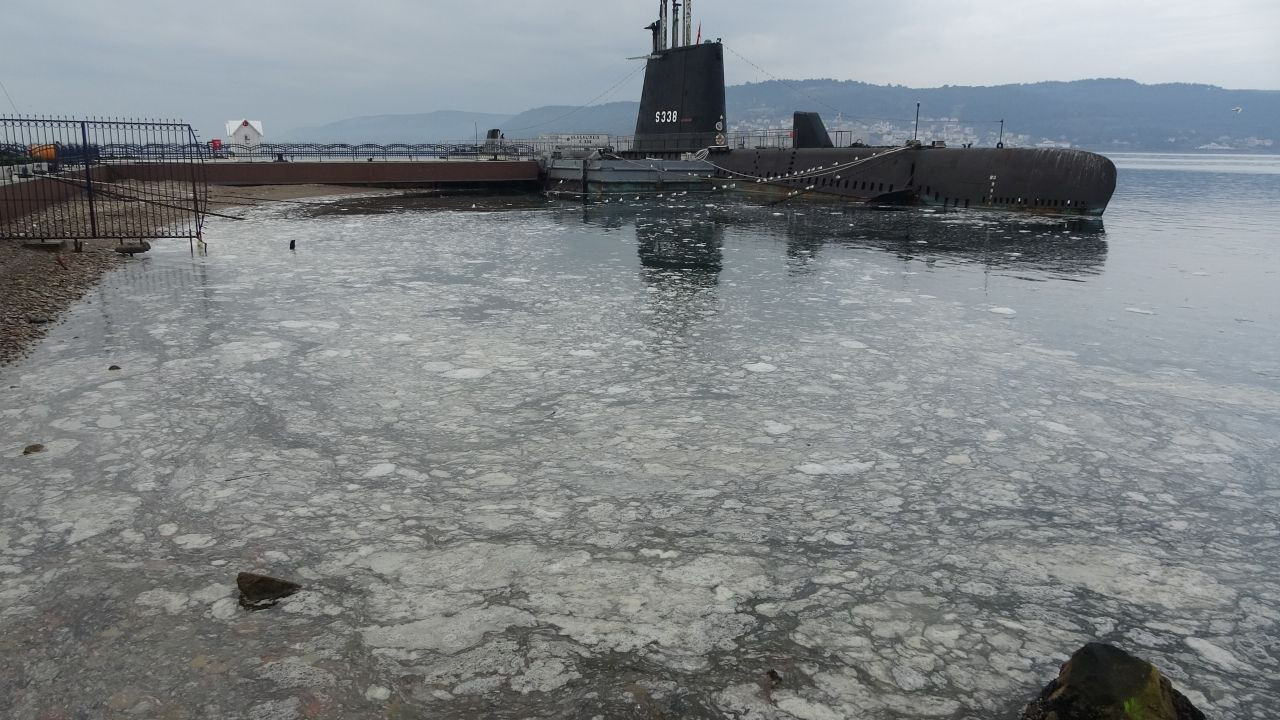 Müsilaj Çanakkale Boğazı'nı kaplamaya başladı - Sayfa 6