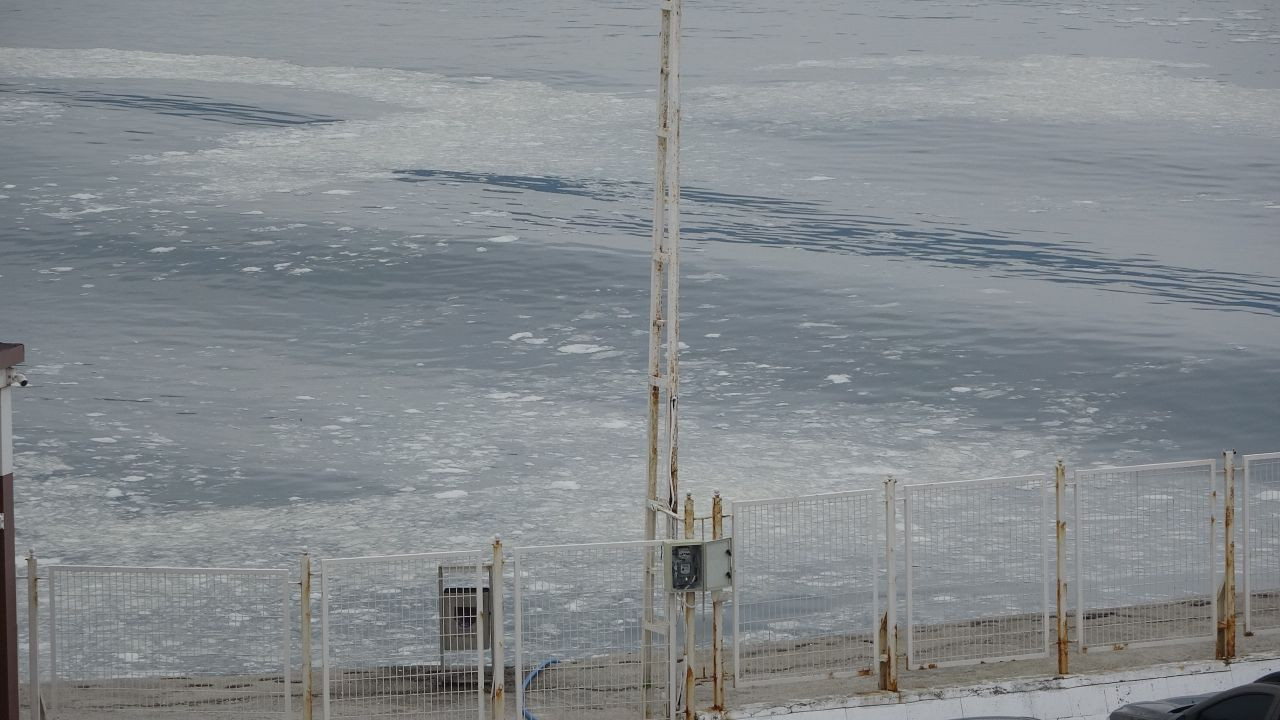 Müsilaj Çanakkale Boğazı'nı kaplamaya başladı - Sayfa 3