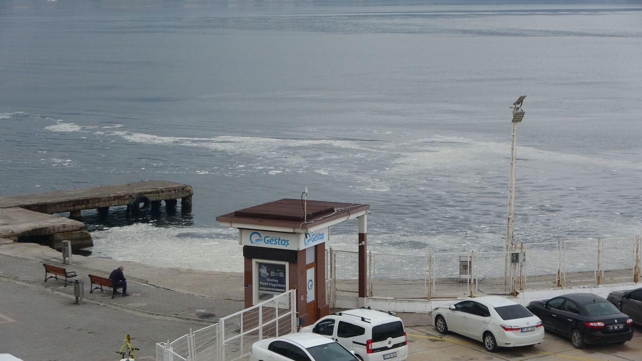 Müsilaj Çanakkale Boğazı'nı kaplamaya başladı - Sayfa 2