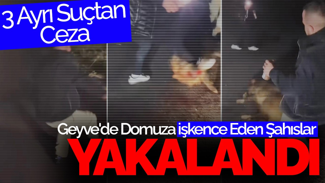 Geyve'de Domuza İşkence Eden Şahıslar Yakalandı