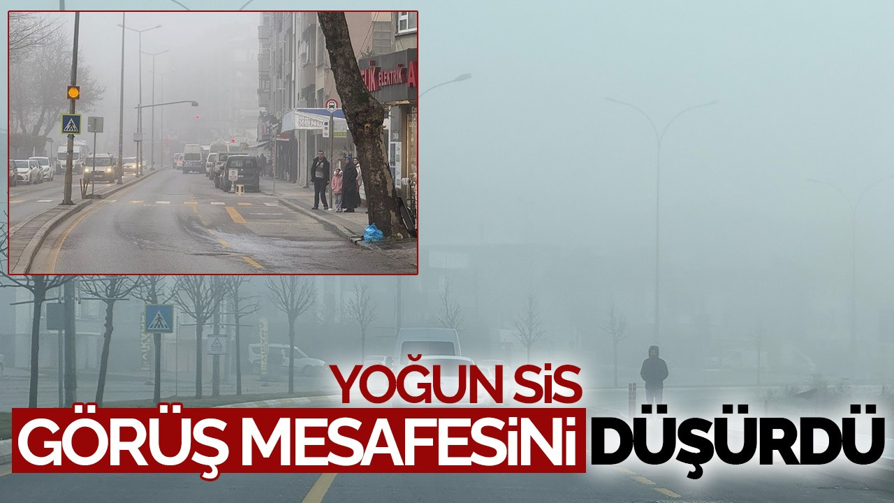 Sakarya'da Yoğun Sis Görüş Mesafesini Düşürdü