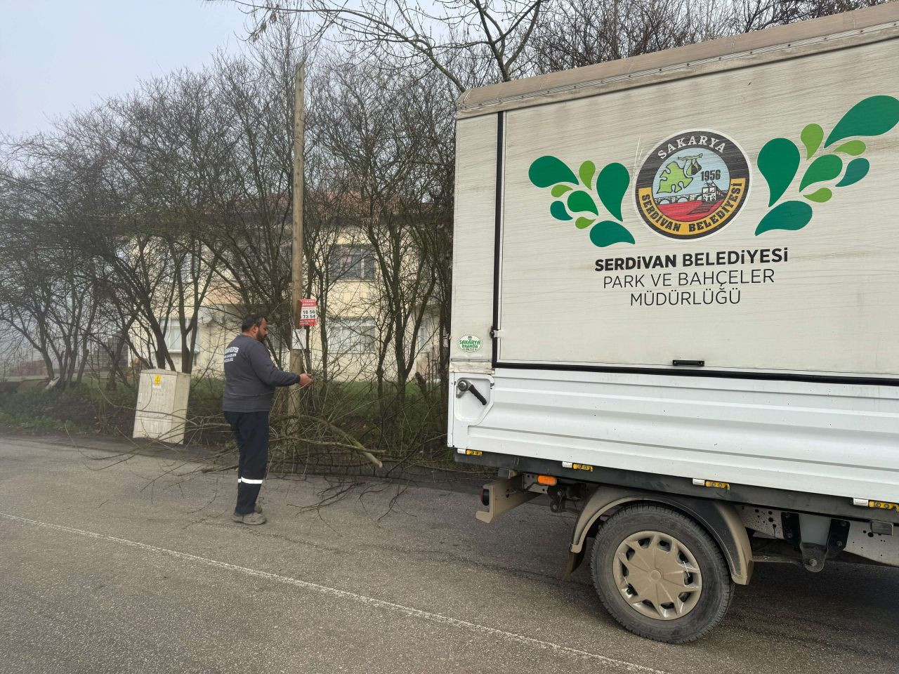 Serdivan’da Yazlık Mahallesi Ağaçları Bakıma Alındı - Sayfa 1