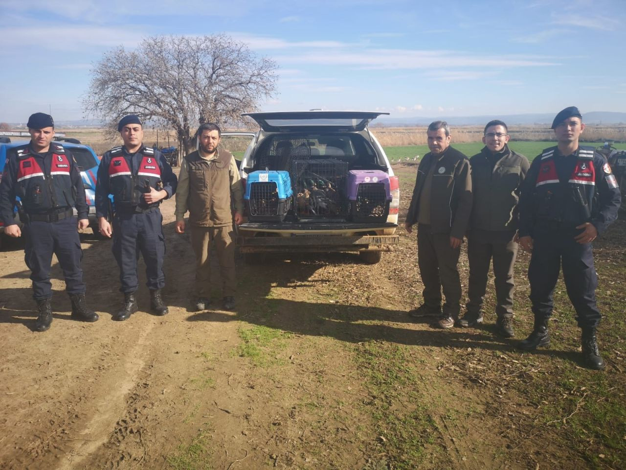 Çanakkale’de Kaçak Avcılara 70 Bin TL Ceza - Sayfa 1