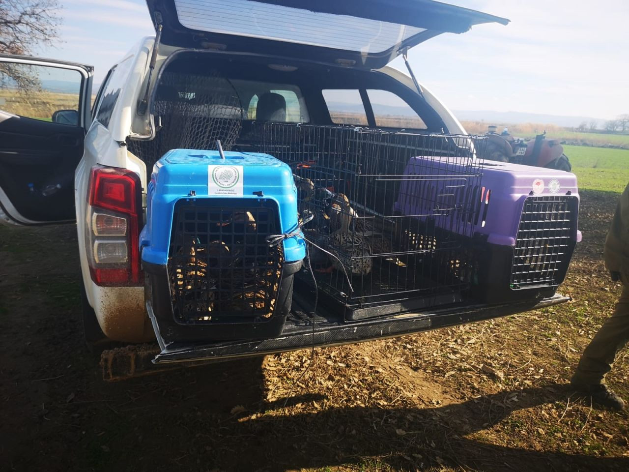 Çanakkale’de Kaçak Avcılara 70 Bin TL Ceza - Sayfa 4