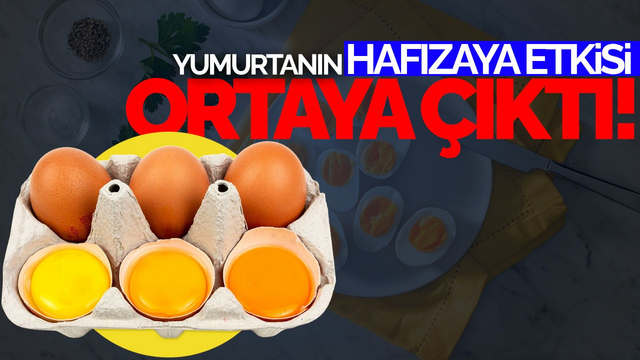 Yumurtanın Hafızaya Etkisi Ortaya Çıktı!