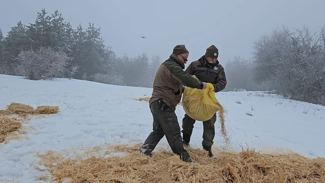 Kastamonu’da Yaban Hayvanlarına Kış Desteği! Doğaya Yem Bırakıldı - Sayfa 1