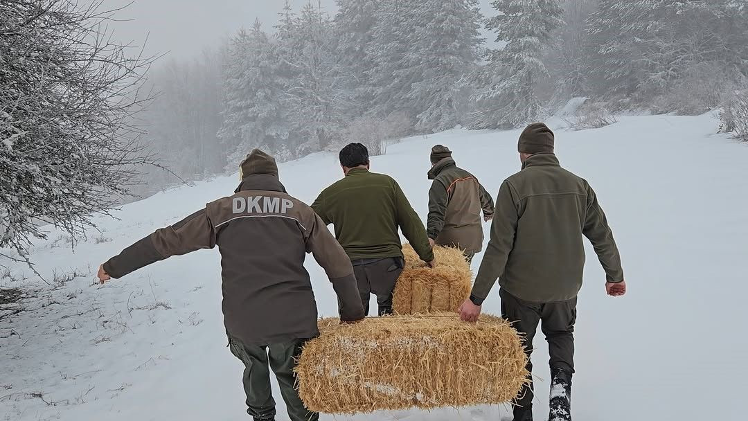 Kastamonu’da Yaban Hayvanlarına Kış Desteği! Doğaya Yem Bırakıldı - Sayfa 3