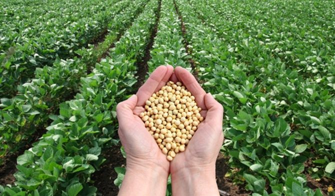 Gıda Güvenliği Tehdit Altında! Artan Nüfus ve Azalan Kırsal Nüfus İçin Bakanlık Uyardı - Sayfa 3