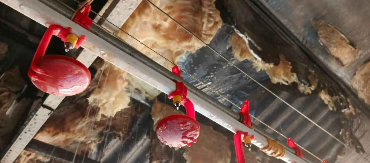 Sakarya'da Tavuk Çiftliğinde Yangın: İtfaiye Müdahale Etti - Sayfa 1