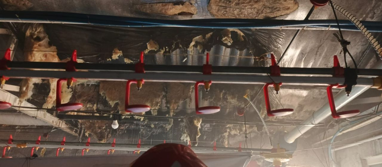 Sakarya'da Tavuk Çiftliğinde Yangın: İtfaiye Müdahale Etti - Sayfa 3