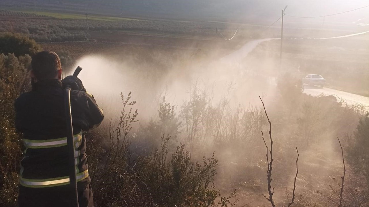 Hatay Yayladağı’nda Zeytinlik Yangını