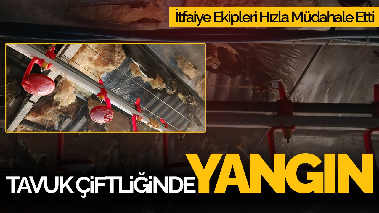 Sakarya'da Tavuk Çiftliğinde Yangın: İtfaiye Müdahale Etti