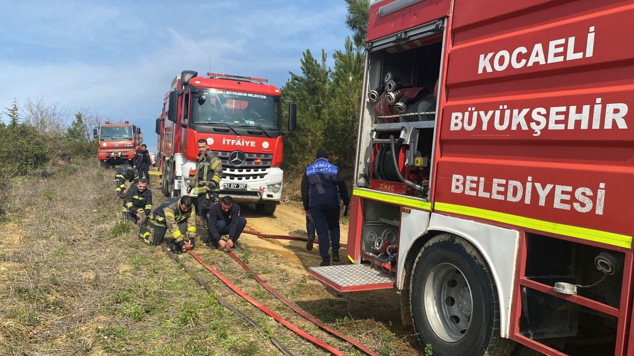 İzmit’te Ormanlık Alanda Yangın Çıktı: Ekipler Anında Müdahale Ederek Söndürdü! - Sayfa 5