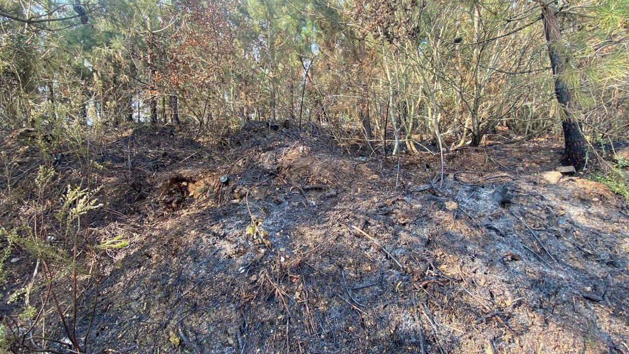 İzmit’te Ormanlık Alanda Yangın Çıktı: Ekipler Anında Müdahale Ederek Söndürdü! - Sayfa 4