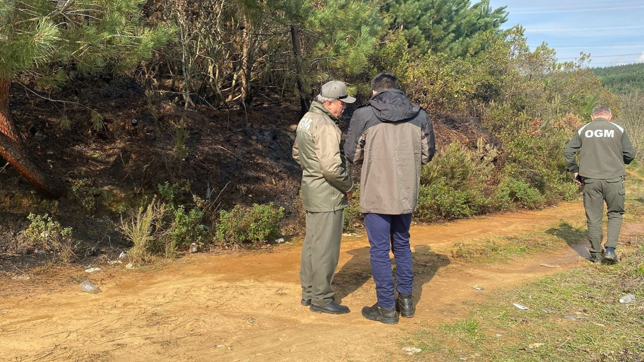 İzmit’te Ormanlık Alanda Yangın Çıktı: Ekipler Anında Müdahale Ederek Söndürdü! - Sayfa 2