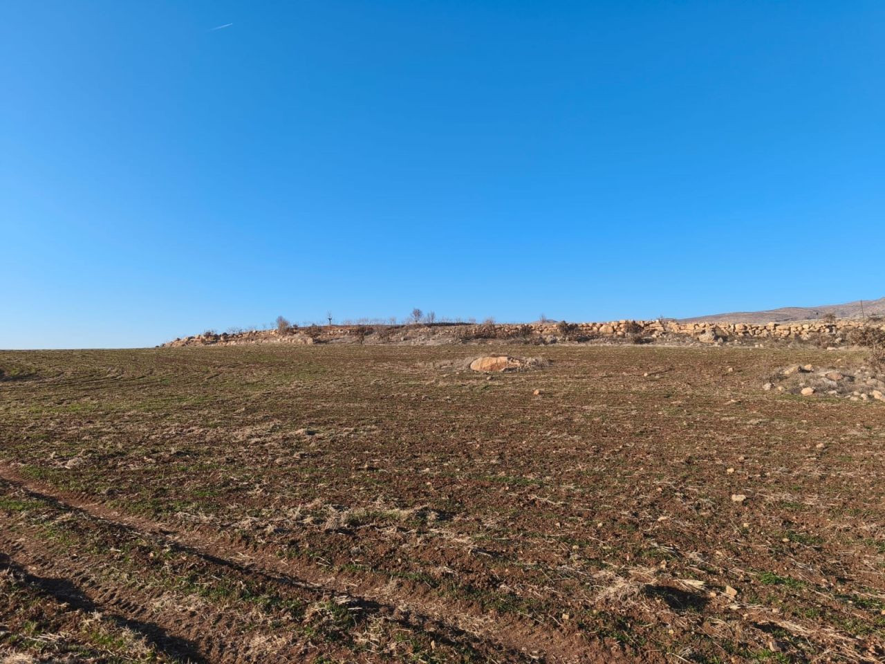 Siirt'te Kuraklık Endişesi: Kış Mevsimi Yağışsız Geçiyor - Sayfa 2