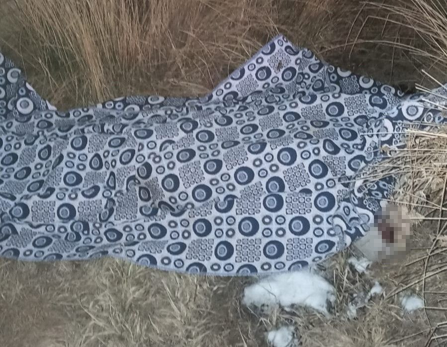 Van’da Hafif Ticari Araç Takla Attı 2 Kişi Hayatını Kaybetti - Sayfa 1