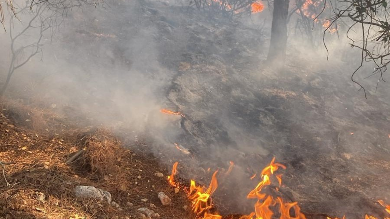 Osmaniye’de Orman Yangını: Hızla Kontrol Altına Alındı