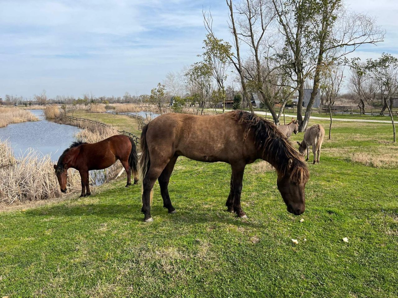 Arifiye Gölya Tabiat Parkı'na Hafta Sonu Yoğun İlgi - Sayfa 8