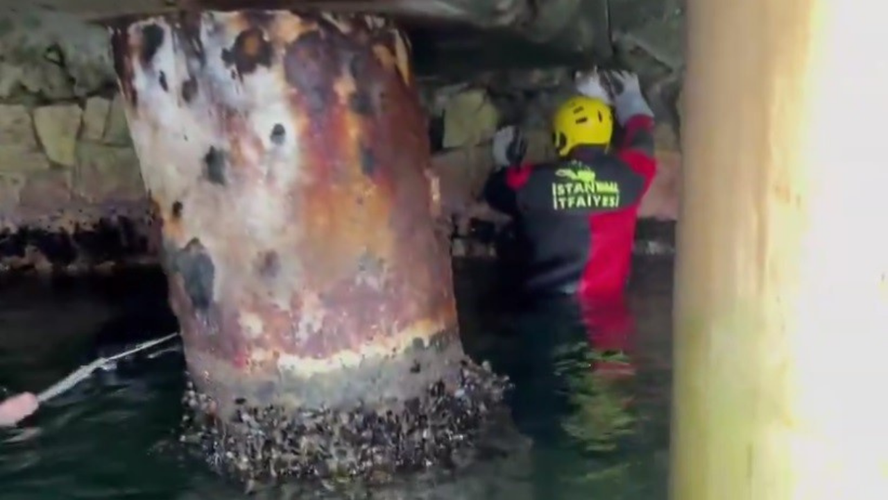 Heybeliada’da İskele Altında Mahsur Kalan Kedi Kurtarıldı