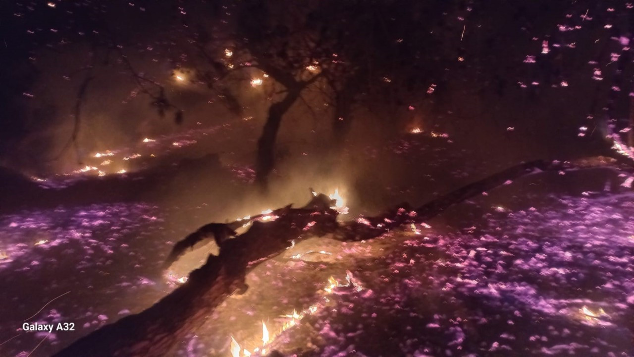 Bandırma’da Çamlık Alanda Yangın!