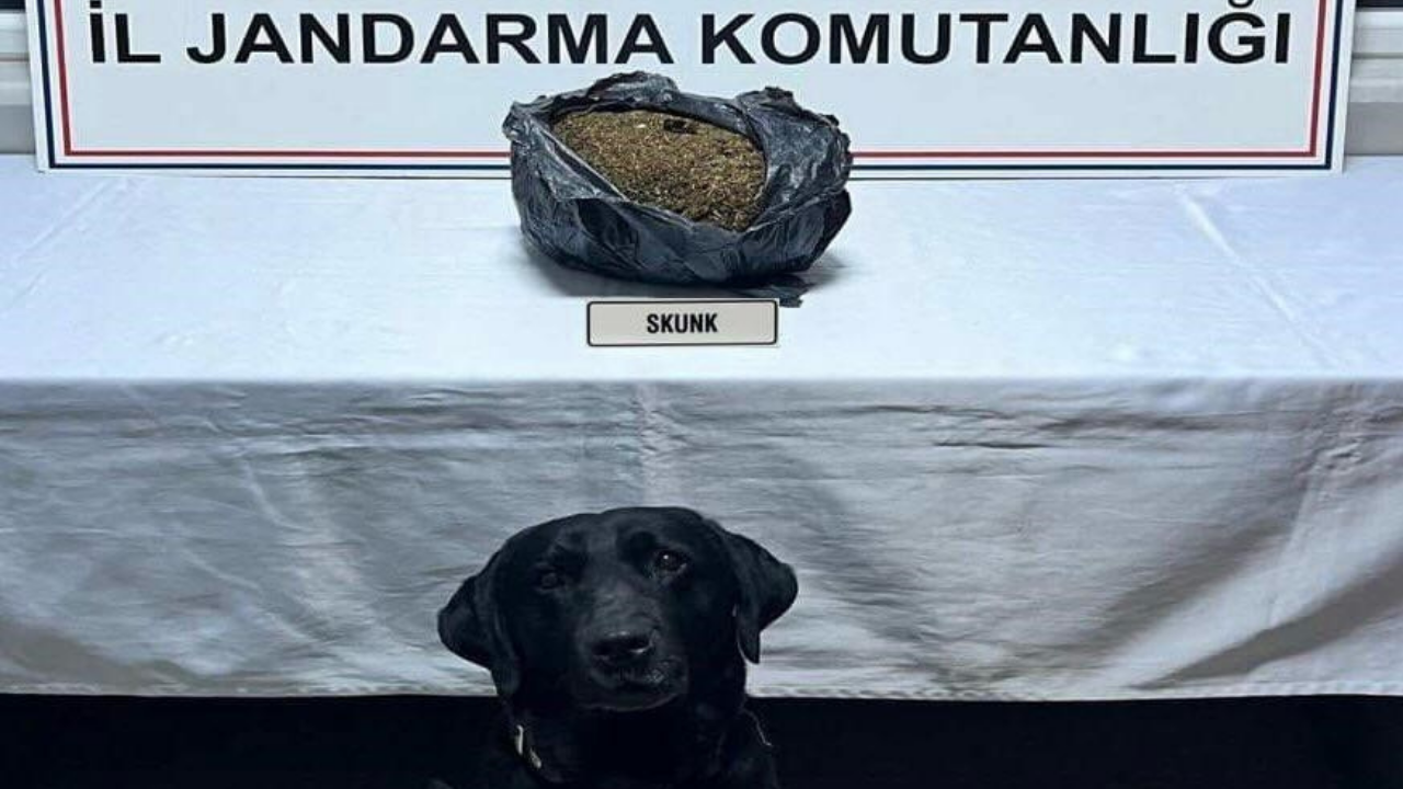 Düzce’de Otomobilin Kaputundan Uyuşturucu Çıktı!